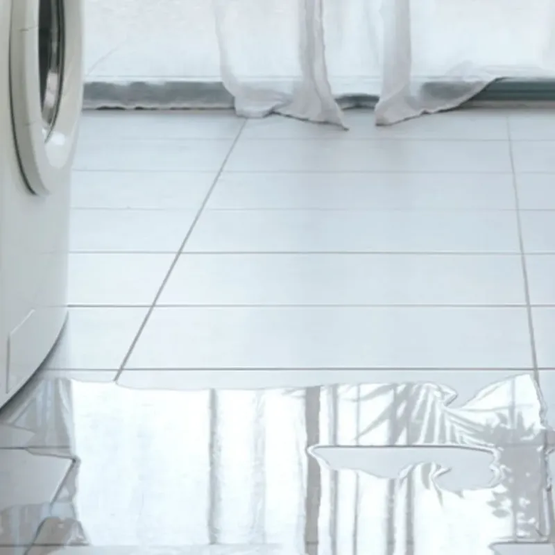Appliance Leak Cleanup in Northlake, IL