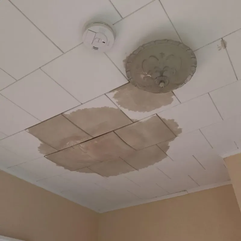 Ceiling Water Damage Repair in Northlake, IL