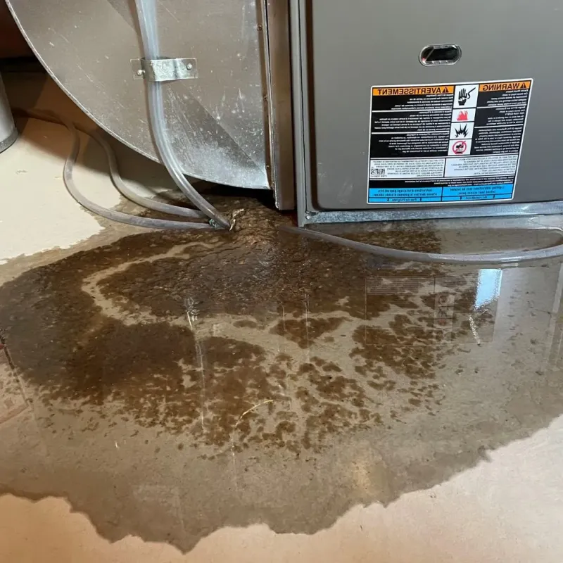 Pipe Burst and Leak Restoration in Northlake, IL